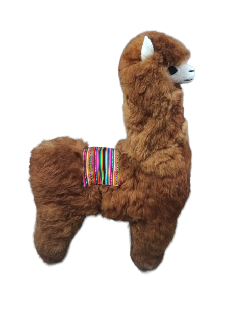 Alpaca