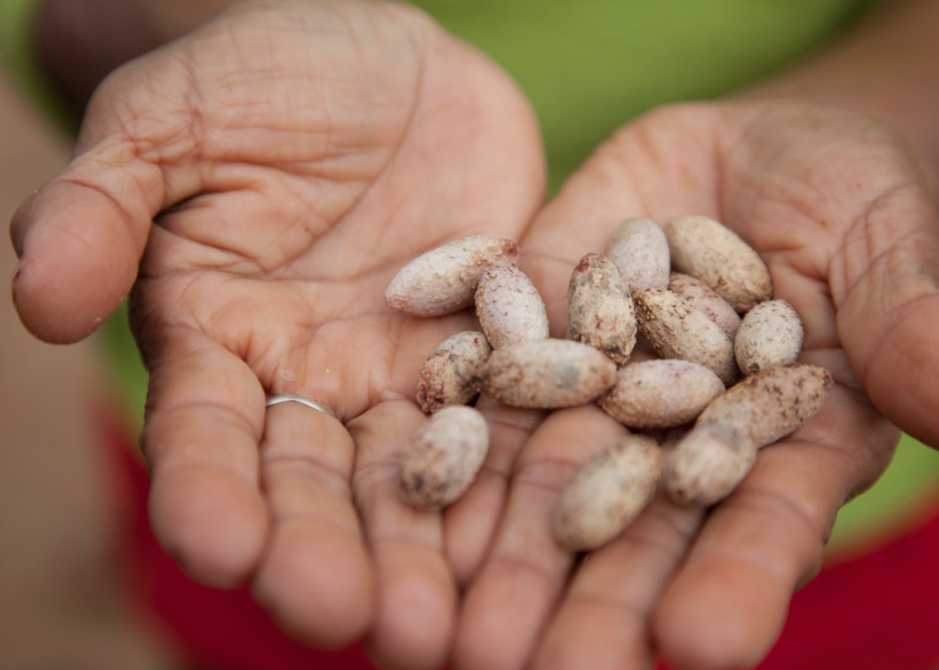 El colectivo Shio’i - Artesanas Ese Eja de Palma Real se suma a las tiendas virtuales Ruraqmali.pe