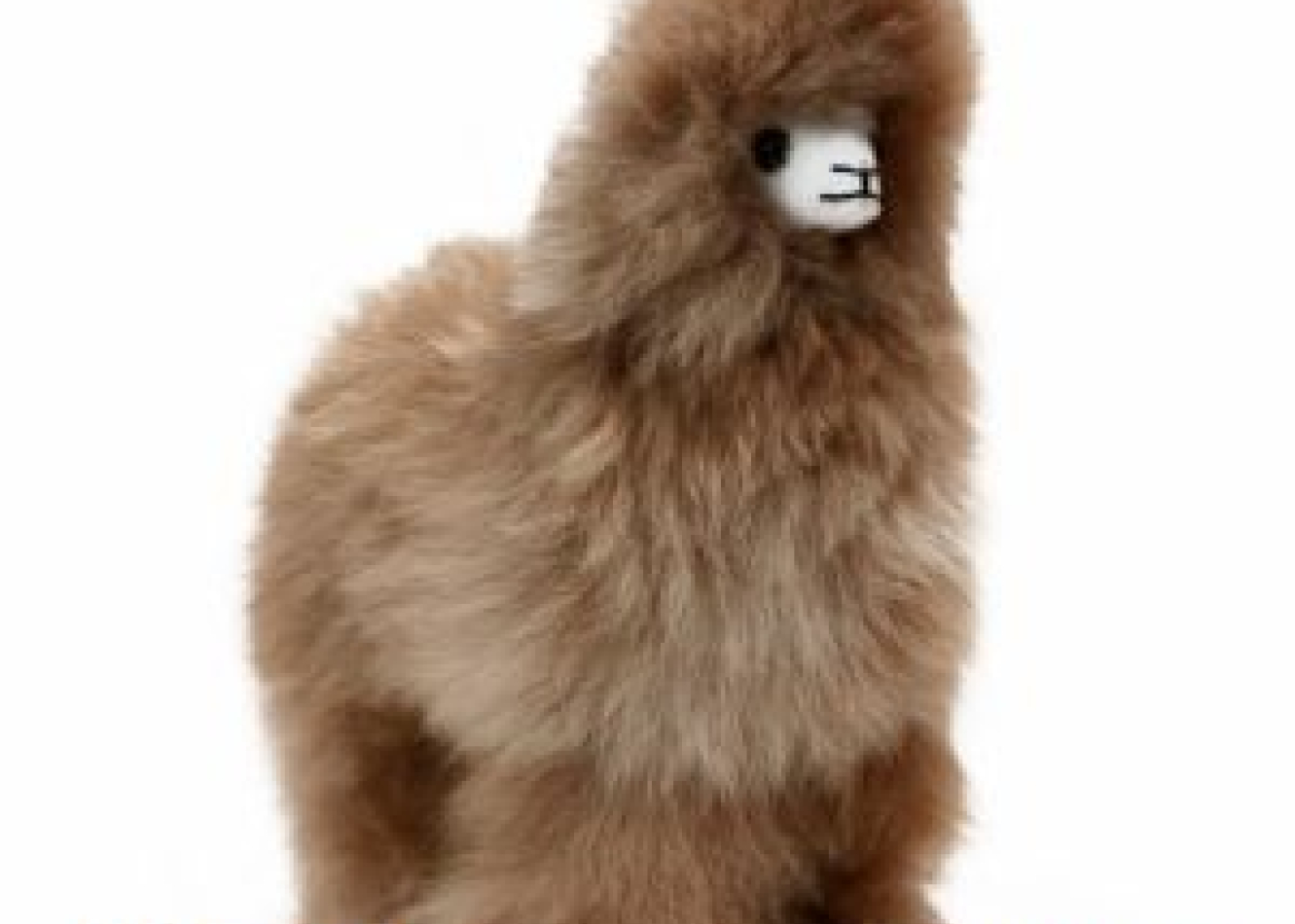 Inauguramos nueva tienda virtual  “Llanka'q Warmis Peletería”