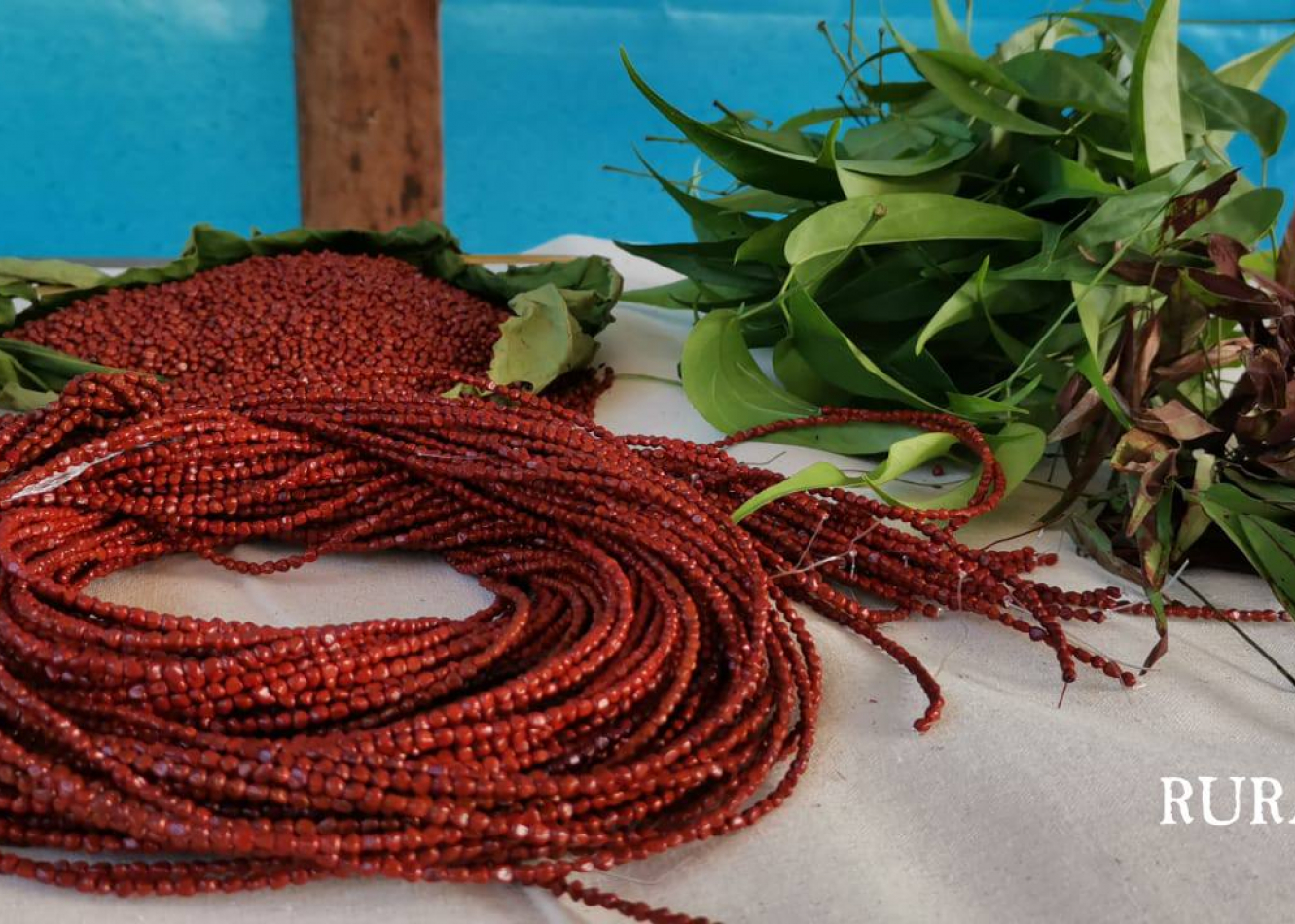 La biojoyería y los accesorios