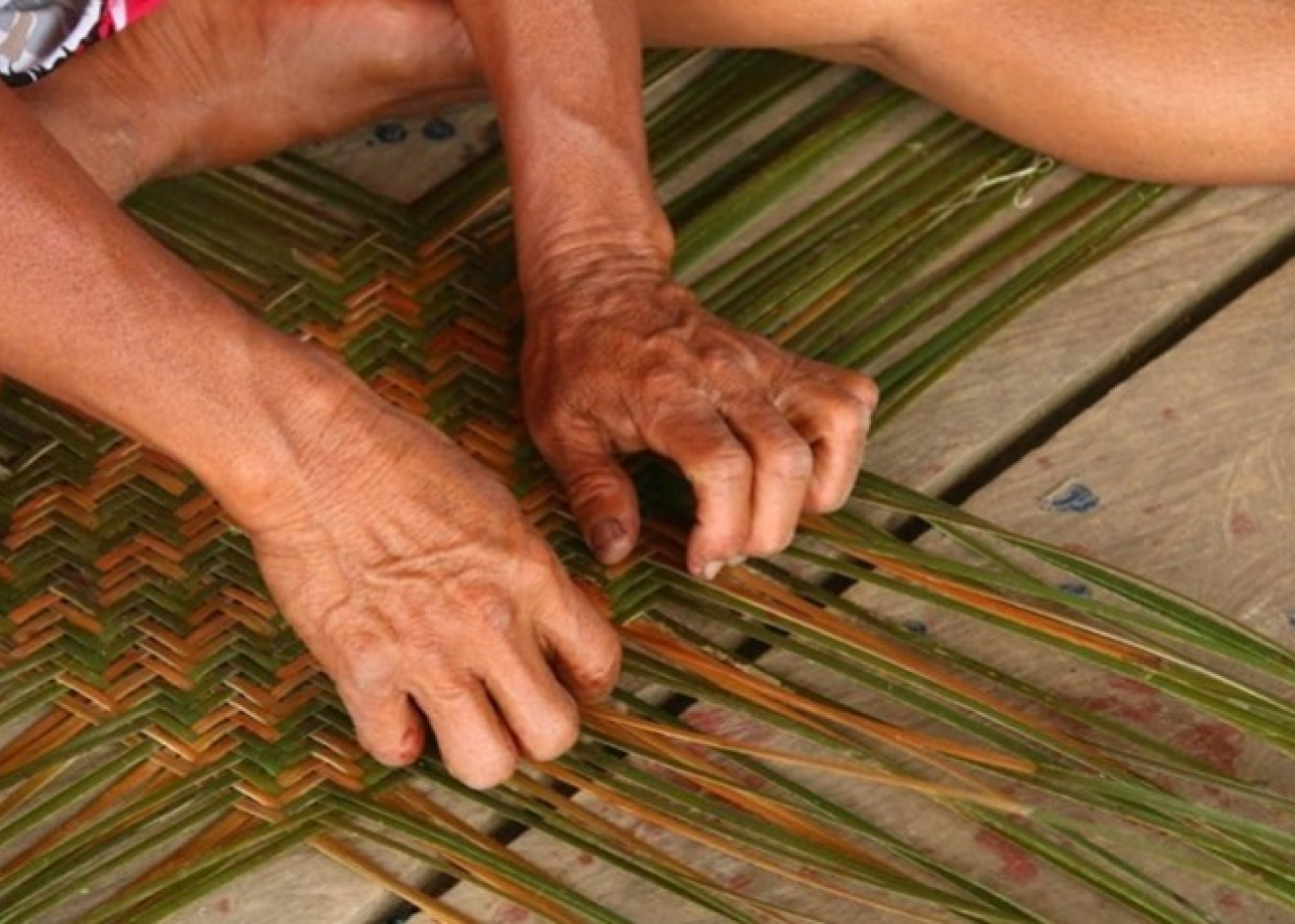 Fibras vegetales